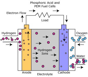 ‫‪Proton Exchange‬‬ ‫‪Membrane Fuel Cells